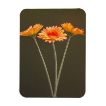 Orange Gerbera Flowers Flexible Magnet