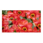 Orange Greigii tulip flowers Business Card Templates