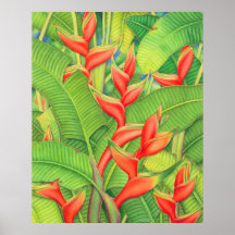 Orange Heleconia Watercolour Poster