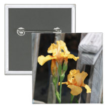 Orange Iris Buttons