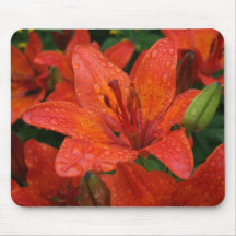 Orange Lily Mousepad