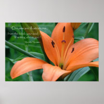 Orange Lily Print