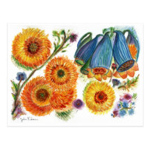 Orange Mum 78 Postcard