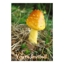 Orange Mushroom Invitation