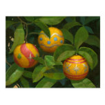 Orange Ornaments Christmas postcard