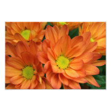Orange Photographic Print