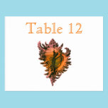 Orange Sea Shell Reception Table Numbers postcards