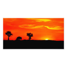 orange sunset photo