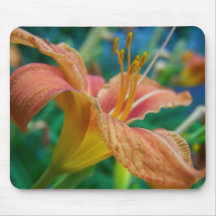 orange-tiger mousepads