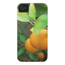 Orange Tree Case-Mate iPhone 4 Cases