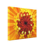 Orange Zinnia Canvas Print canvas prints