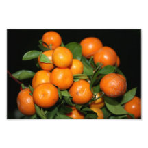 Oranges Photo Print