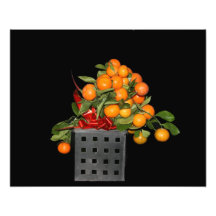 Oranges Photograph