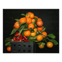 Oranges Photograph