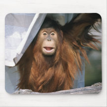 Orangutan#7-Mousepad