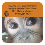 Orangutan address label Official Logo stickers