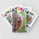 Orangutan Baby Uttuh Playing Cards playing cards