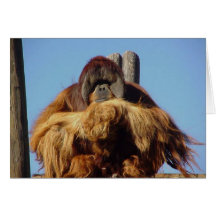 Orangutan Happy Birthday Template Card