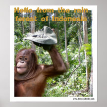 Orangutan rain forest welcome poster