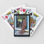 Orangutan Siswe watches IMAX Movie Playing Cards playing cards