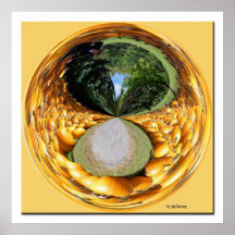 Orb Pumpkin Patch Poster