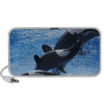 Orca Trio Speakers