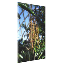 Orchid 6 Wrapped Canvas Gallery Wrap Canvas