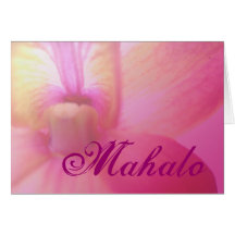 Orchid Dream Cards