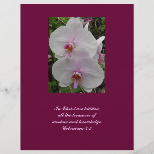 Orchid - Pink Blossom (Colossians 2:3) Flyer