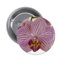Orchid Pins