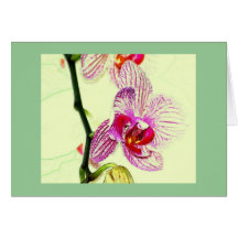 Orchid Yellow Greeting Card