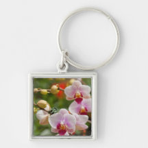 orchids keychain