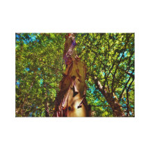 Oregon Caves National Park Stretched Canvas Print