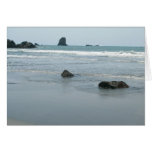 Oregon Coast Cards
