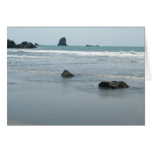 Oregon Coast Cards