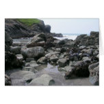 Oregon Coast near Brookings Greeting Cards