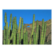 Organ Pipes Personalized Invitation