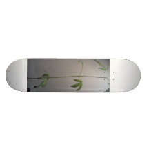 ORGANIC PLANT LIFE SKATE BOARDS