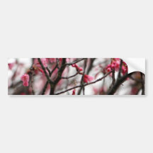 Original Cherry Blossoms Macro Photo Bumper Sticker