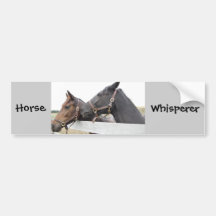Original Horse Whisperer Bumper Stickers