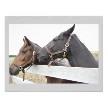 Original Horse Whisperer Personalized Announcements