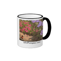 Oriole Mugs