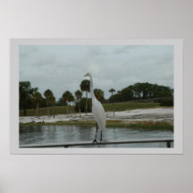 Orlando Park, Florida Posters