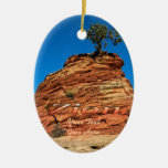 Ornament: Amazing Ponderosa (Oval)