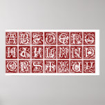 Ornamental Latin Alphabet from the 16th Century Print