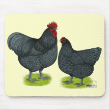 Orpington:  Blue Pair Mouse Mats