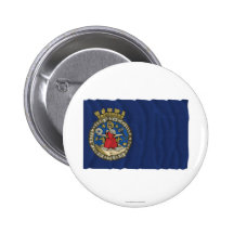 Oslo waving flag button