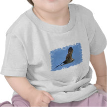 osprey-45.jpg tshirts