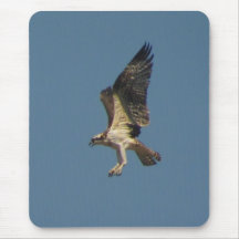 Osprey landing mousepads