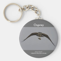 Osprey with Fish Key Chain